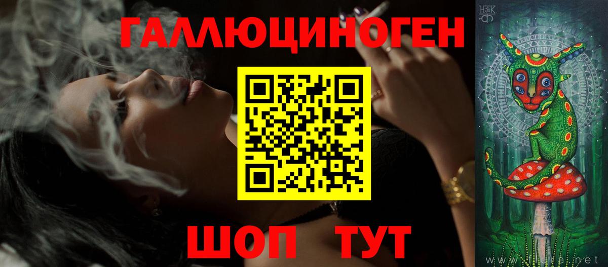 наркота  Вход с VPN  Новозыбков  Галлюциногенные грибы Psilocybe 